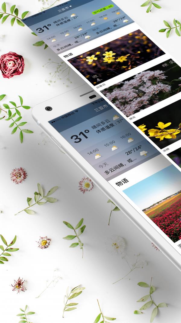 物语天气  v2.0.0图1