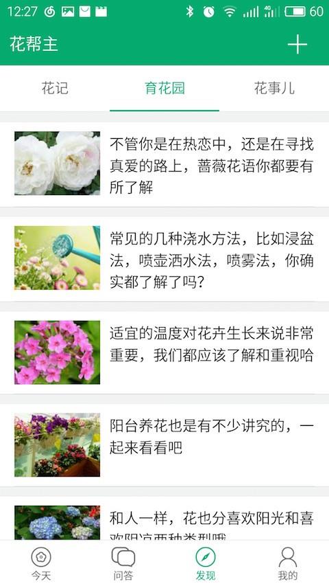 花帮主