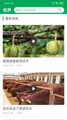 中国农业网
