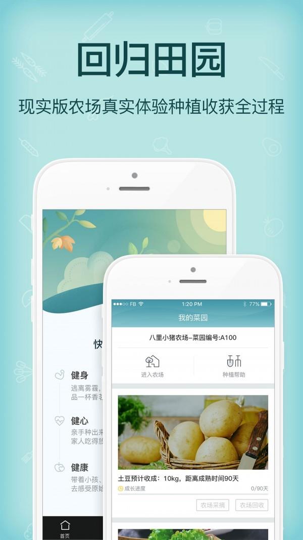 小猪农场  v3.2.0图4