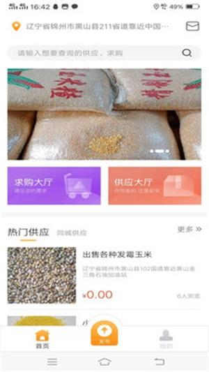 淘粮