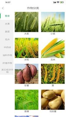 慧农品安  v1.3.5图3