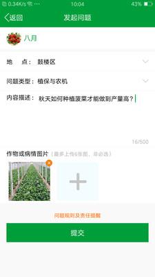 布谷声声
