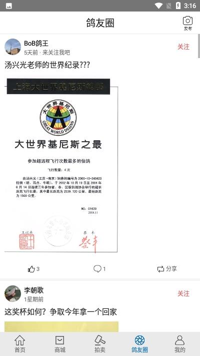 职业赛鸽网