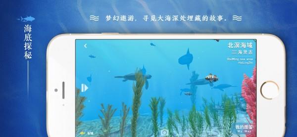寻海