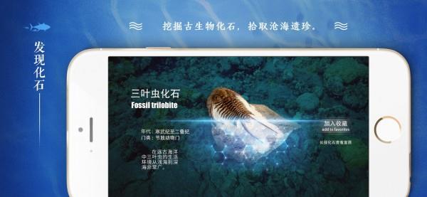 寻海  v0.1图5