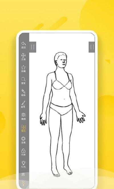 3Dbody艺用  v1.0.0图2