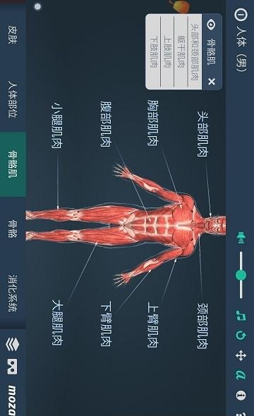 立体全身解剖模拟  v3.333图1