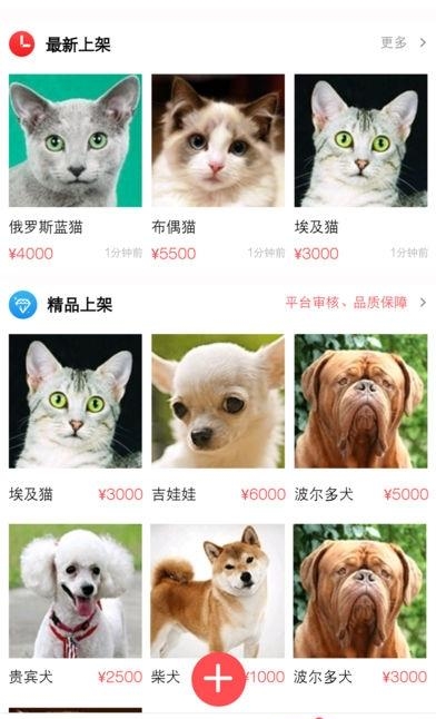 宠物优选  v1.8.2图3