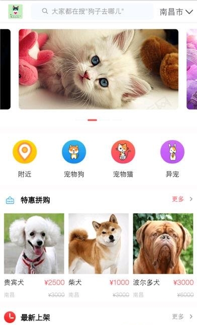 宠物优选  v1.8.2图2