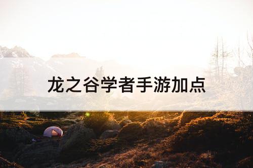 龙之谷学者手游加点