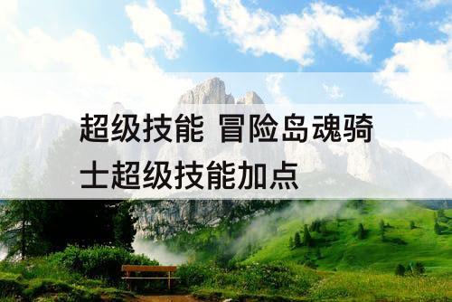 超级技能 冒险岛魂骑士超级技能加点