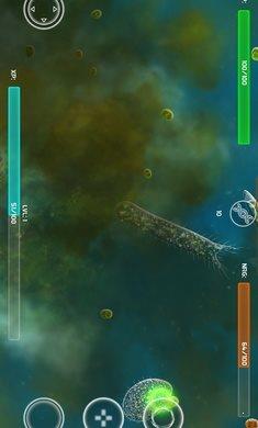 孢子的起源  v40.54图2