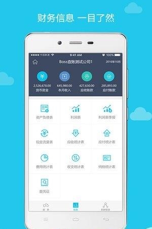 BOSS查账  v2.0图2