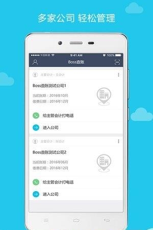 BOSS查账