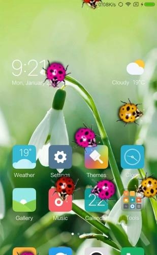 瓢虫在手机爬行  v5.2.8图1