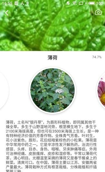 森林百科
