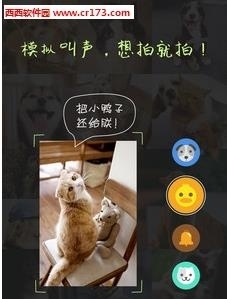 萌宠搞怪相机  v1.5图1