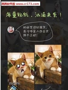 萌宠搞怪相机  v1.5图3