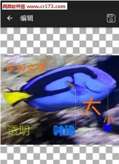 GIF工作室汉化版