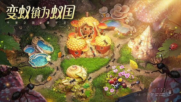 小小蚁国国际服  v1.29.0图3