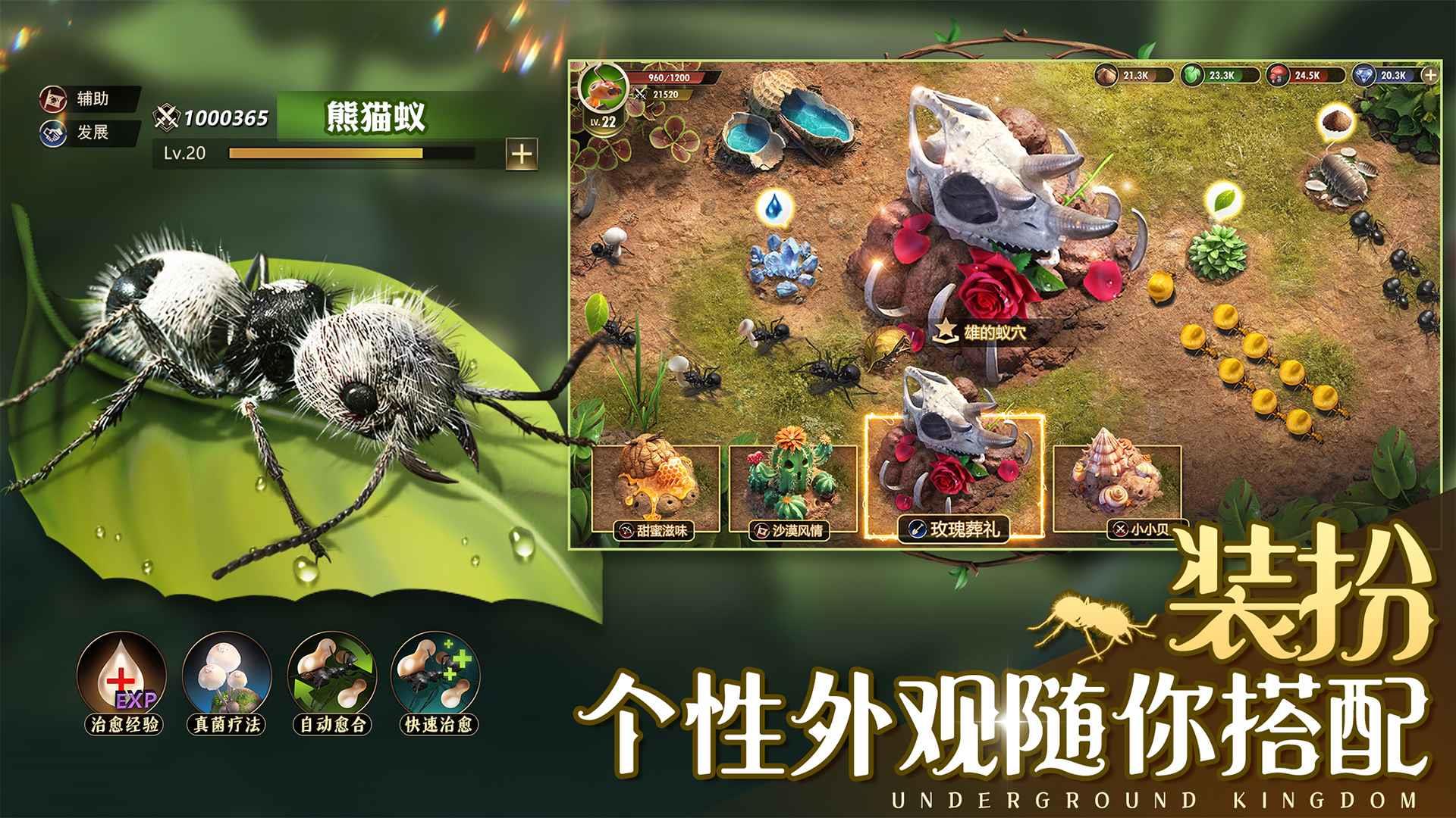 小小蚁国华为版  v1.31.0图4