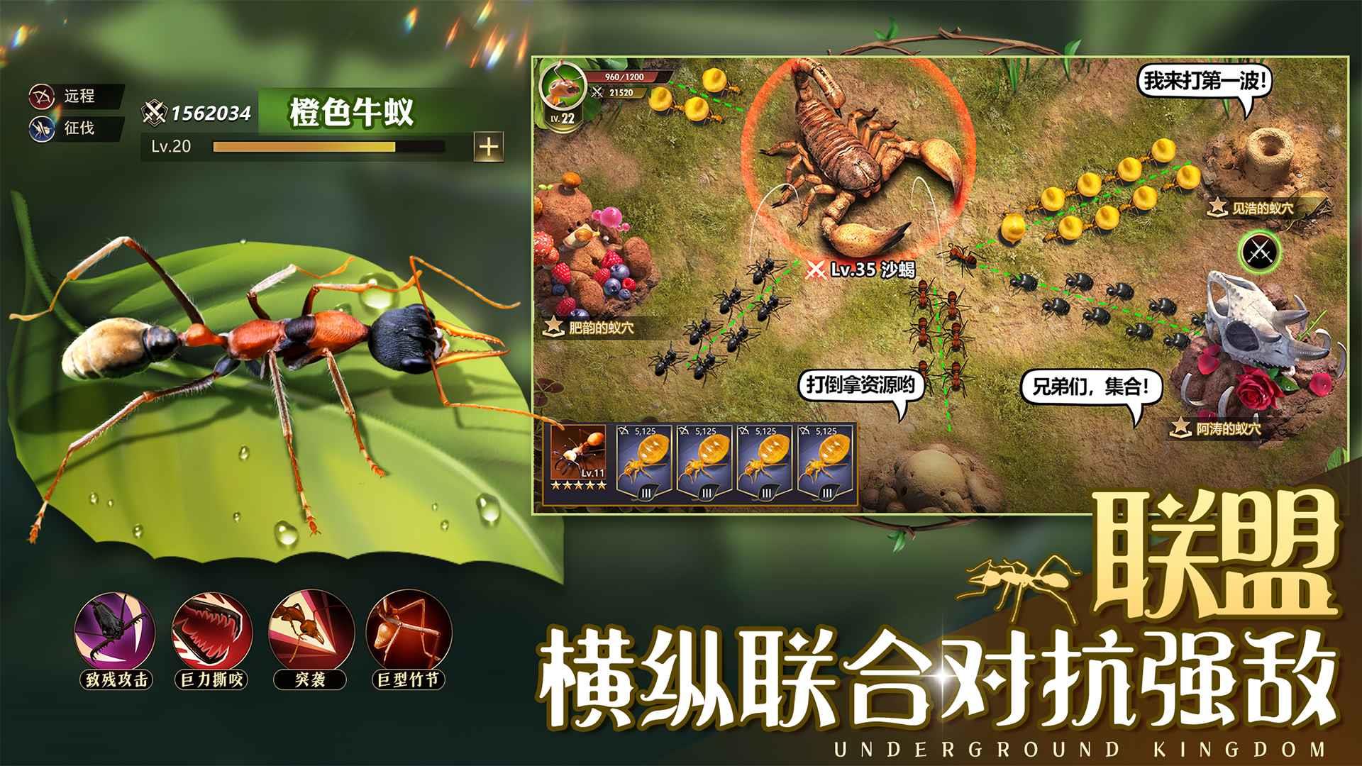 小小蚁国华为版  v1.31.0图2