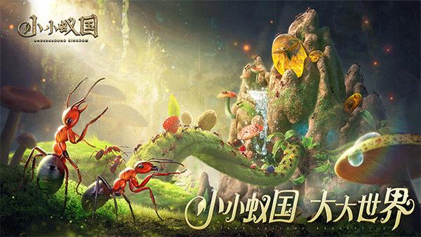 小小蚁国国际服  v1.29.0图2
