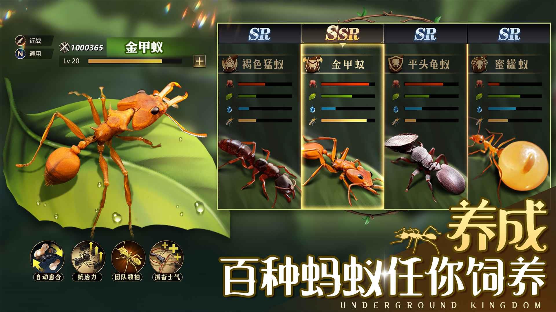 小小蚁国华为版