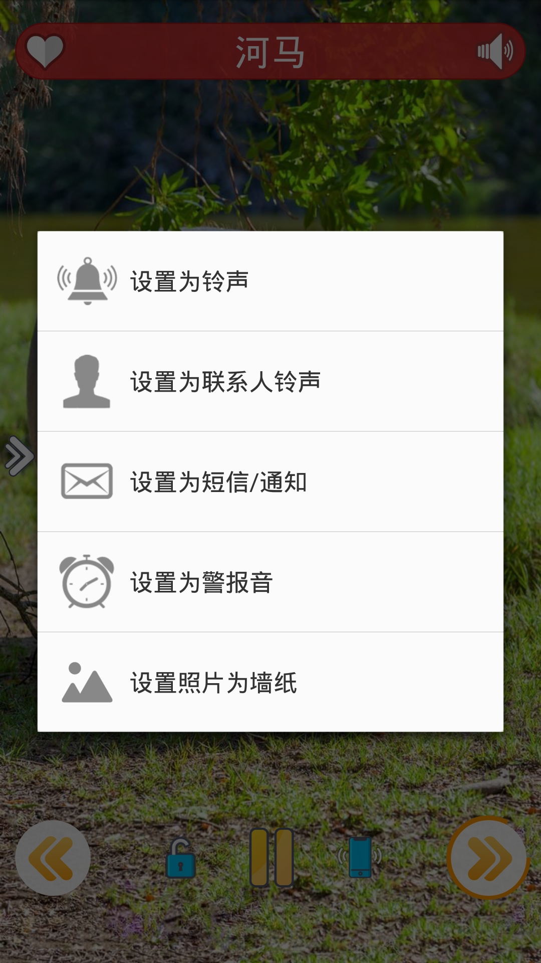 好多小可爱