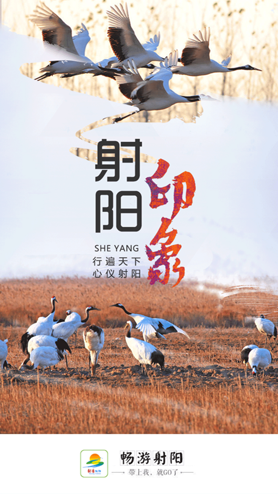 畅游射阳  v0.0.45图1
