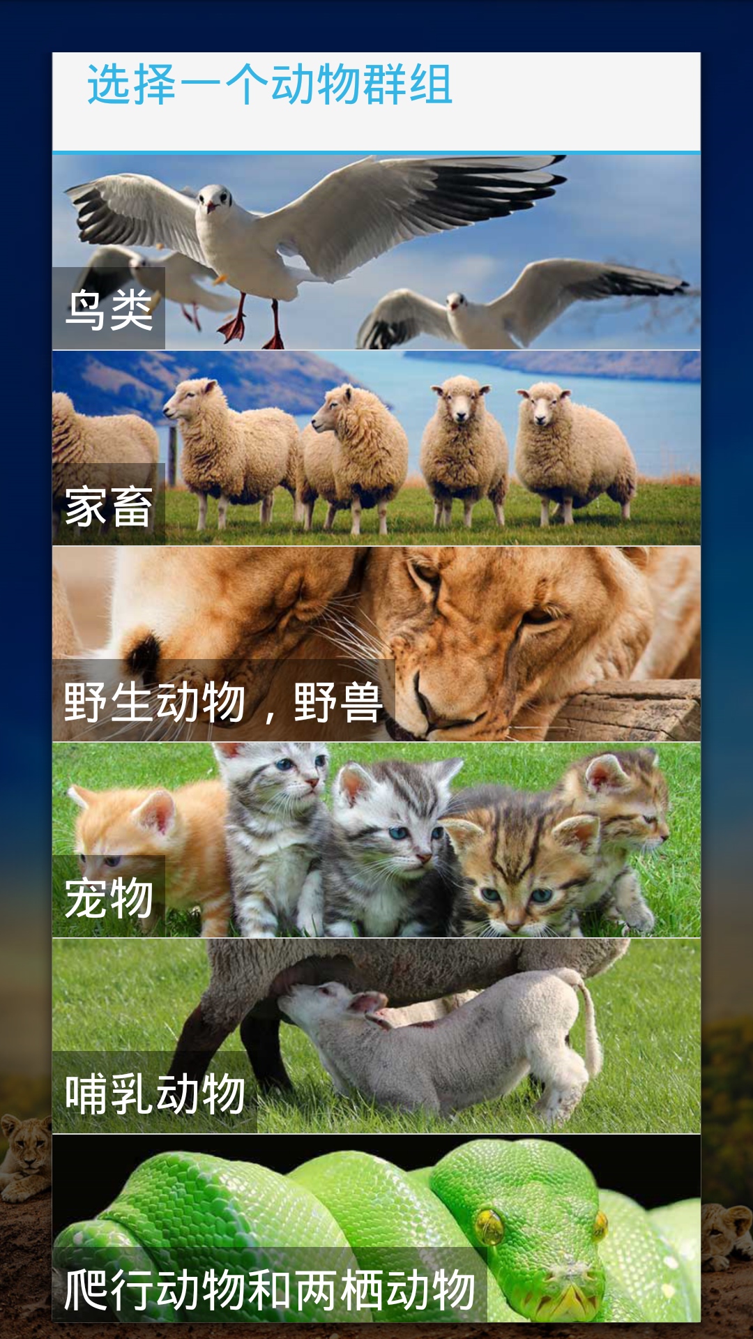 好多小可爱  v1.6.1023图2