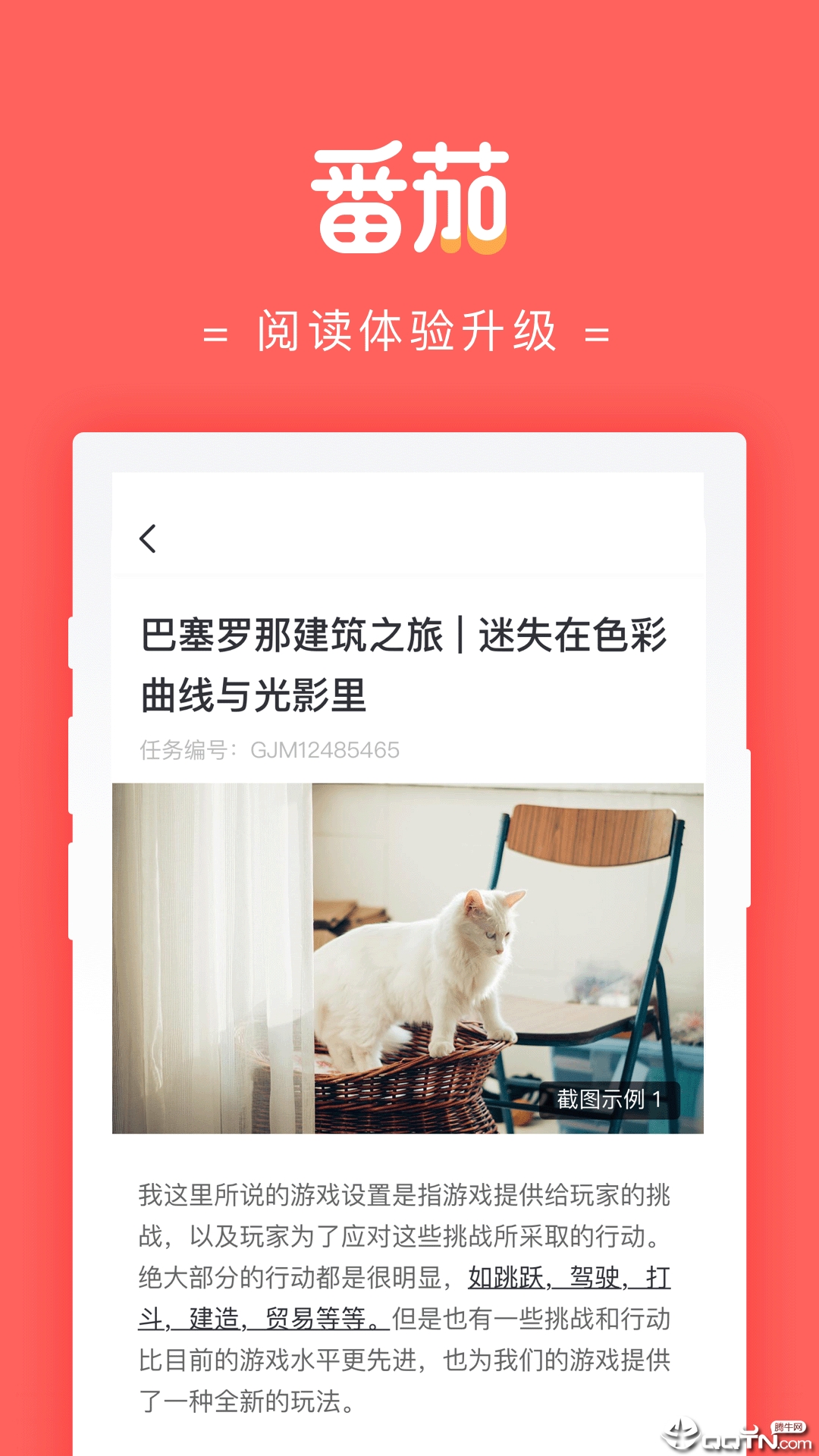 番茄大大