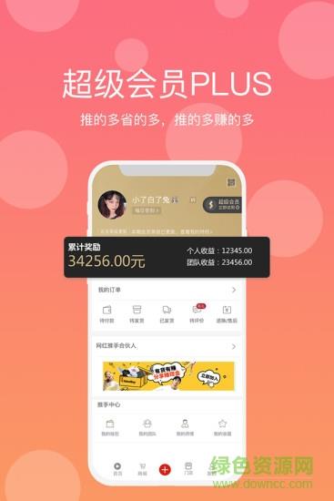 网红推手