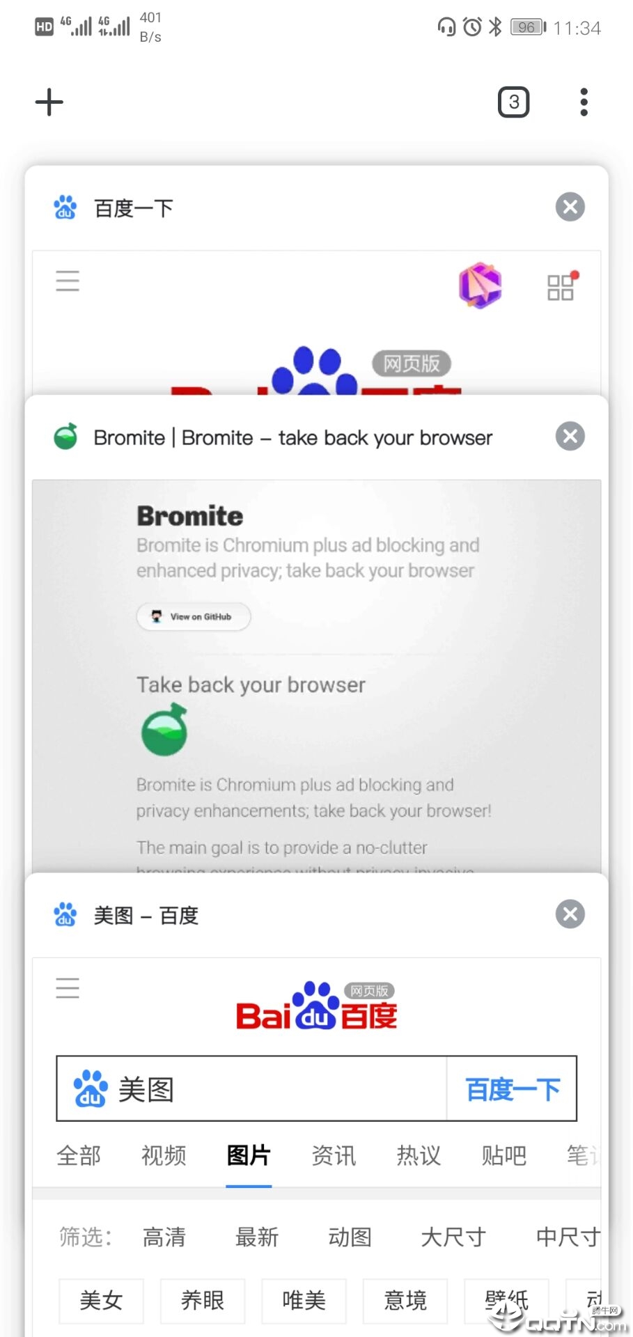 Bromite浏览器  v75.0.3770.109图3