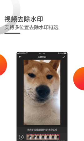 短视频一键去水印  v1.0.3图2