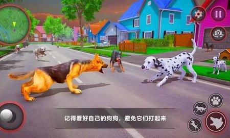 狗狗家庭陪伴（Curious