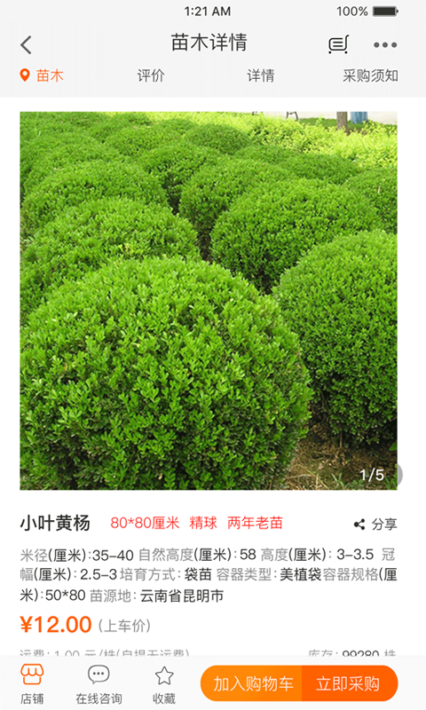 树多多  v30.0图2