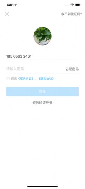 桐行通