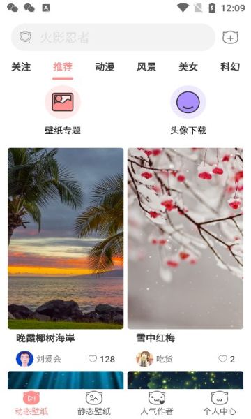 萌猫桌面壁纸