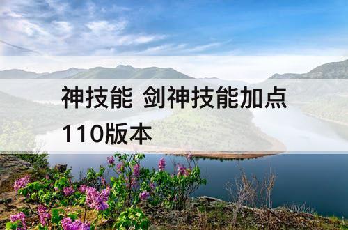 神技能 剑神技能加点110版本