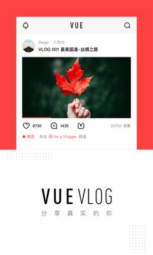 VUE