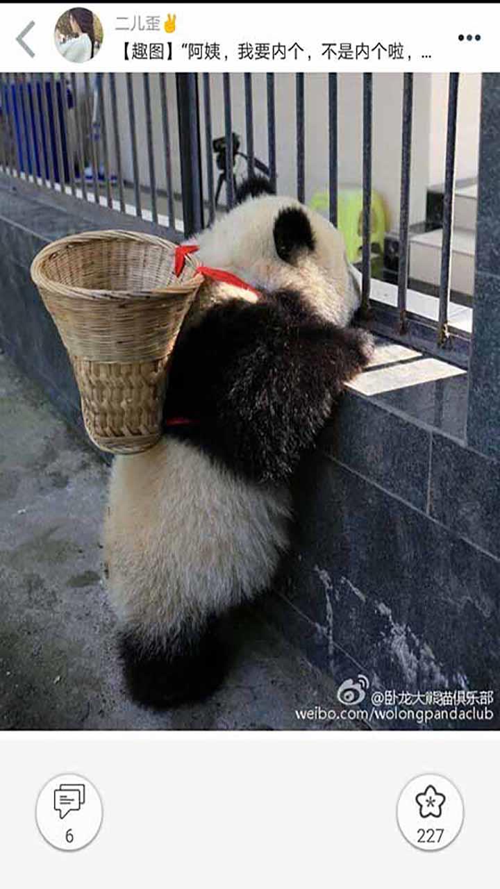 柚次元免费