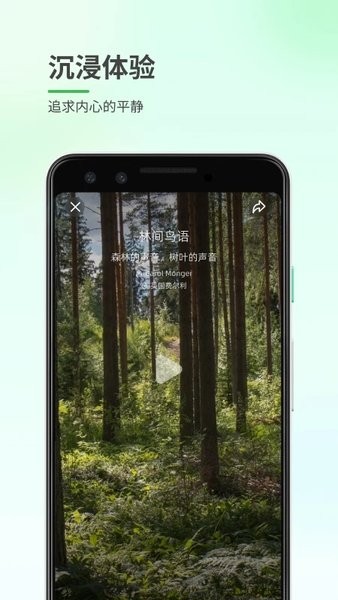 森林白噪音  v1.0.1图1