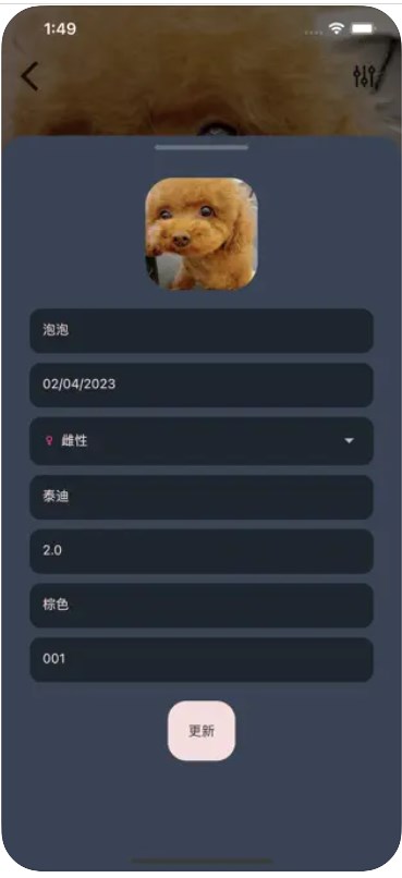 爱宠小派2023