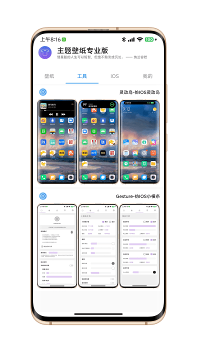 主题壁纸专业版手机版  v1.0.0图2