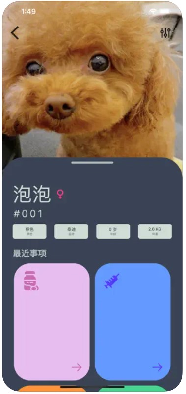 爱宠小派2023  v1.1图2