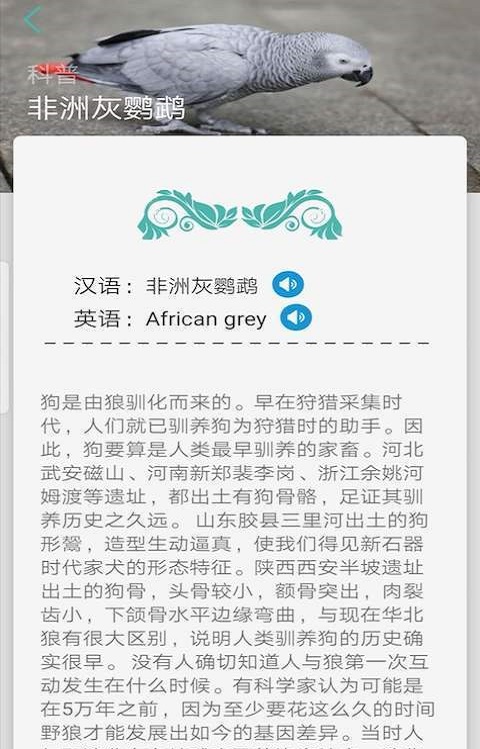 天天识别下载