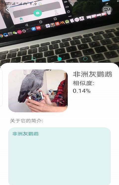 天天识别下载  v1.0图1