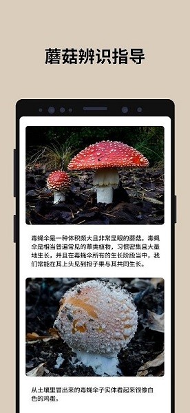 蘑菇识别扫一扫app